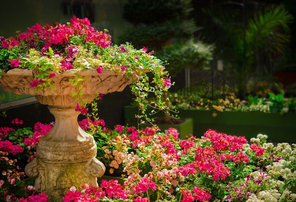 Stagi helps you easily compost and create your ideal garden!